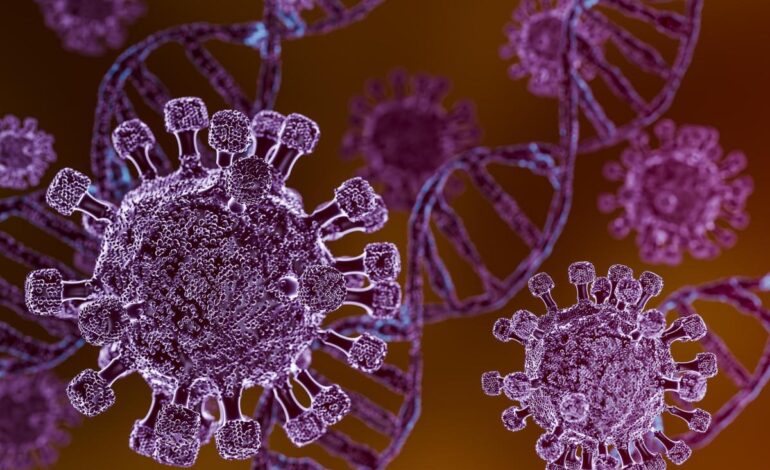 Detectan posible caso de hantavirus de tercera generación un vuelo