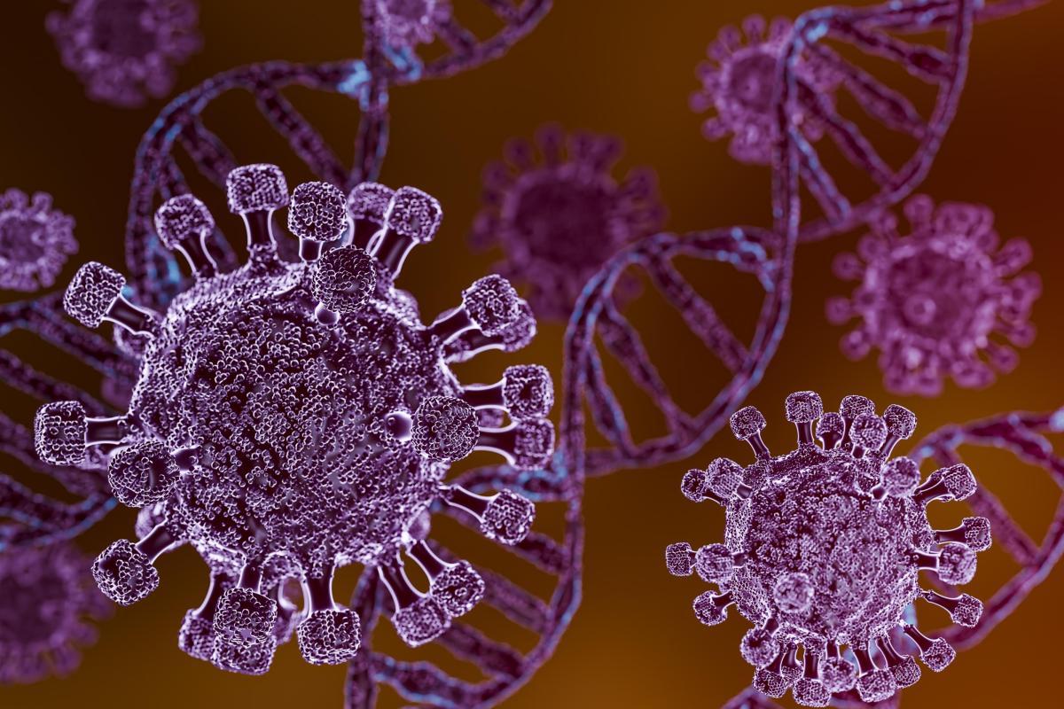 Detectan posible caso de hantavirus de tercera generación un vuelo