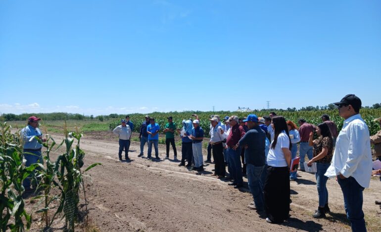 Promueven uso de residuos orgánicos para fortalecer la productividad agrícola