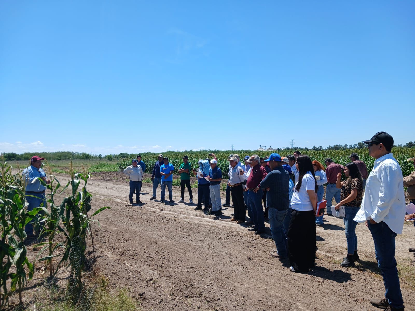 Promueven uso de residuos orgánicos para fortalecer la productividad agrícola