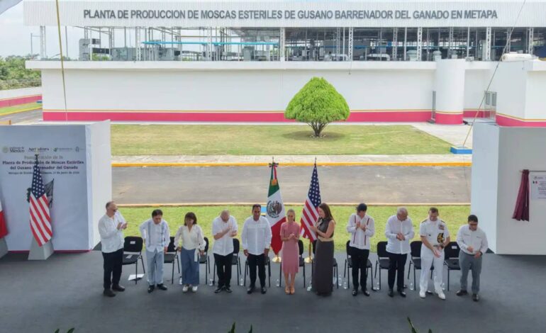 Sheinbaum inauguran planta para combatir el gusano barrenador