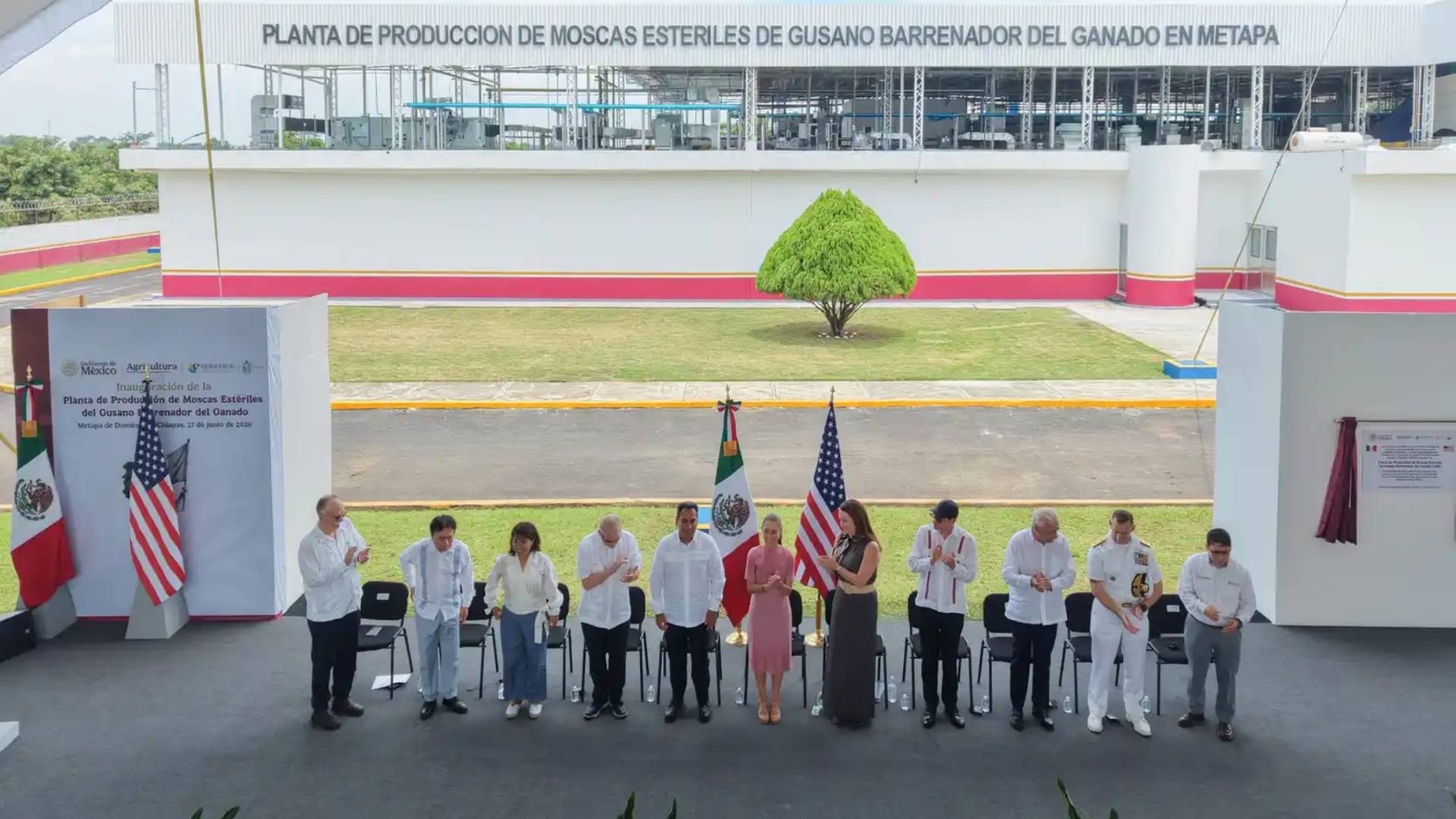 Sheinbaum inauguran planta para combatir el gusano barrenador