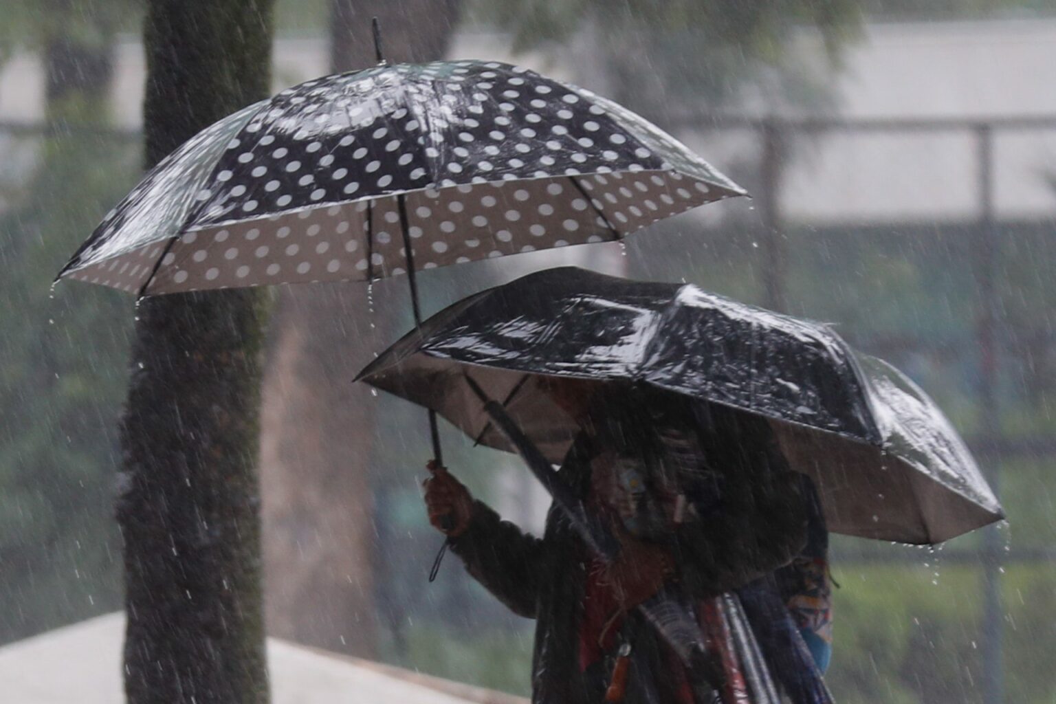 Prevén lluvias muy fuertes en 7 estados