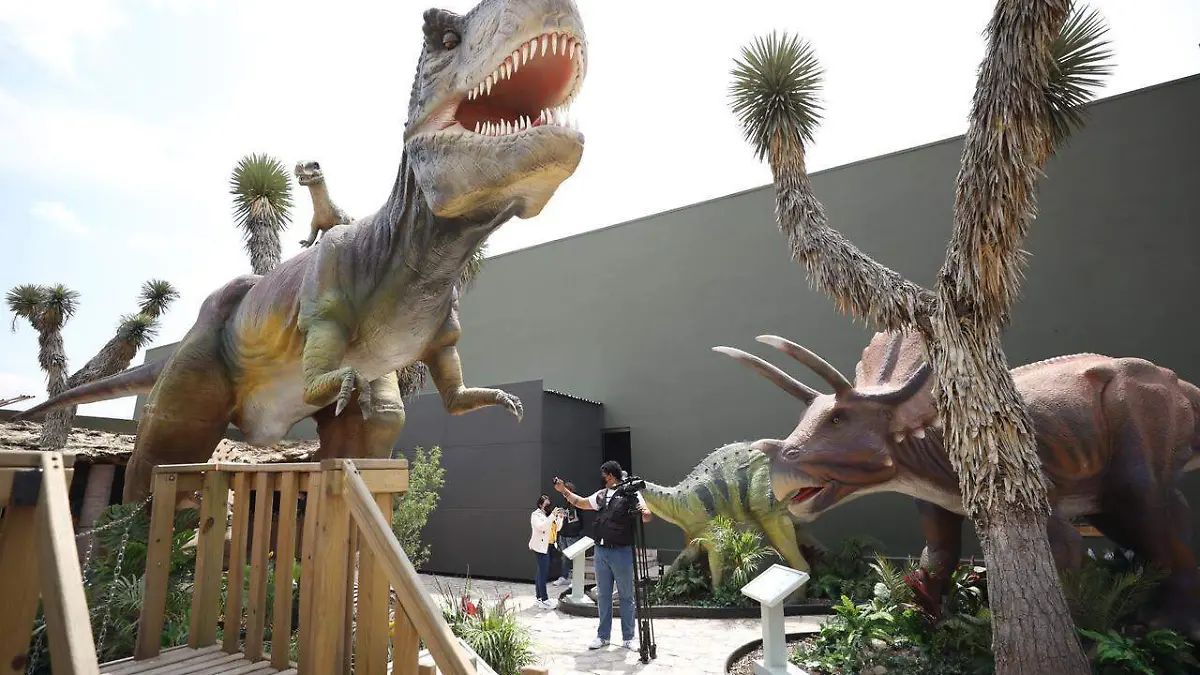 DINOFRONTERA LLEGA A NUEVO LAREDO CON UNA EXPERIENCIA PREHISTÓRICA PARA TODA LA FAMILIA