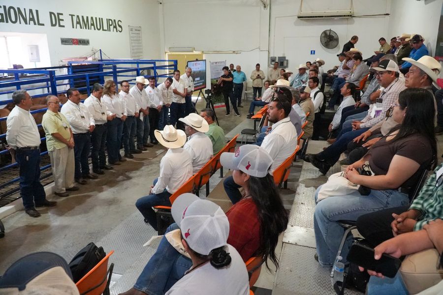 Impulsa UAT alianza estratégica para fortalecer el sector ganadero en Tamaulipas