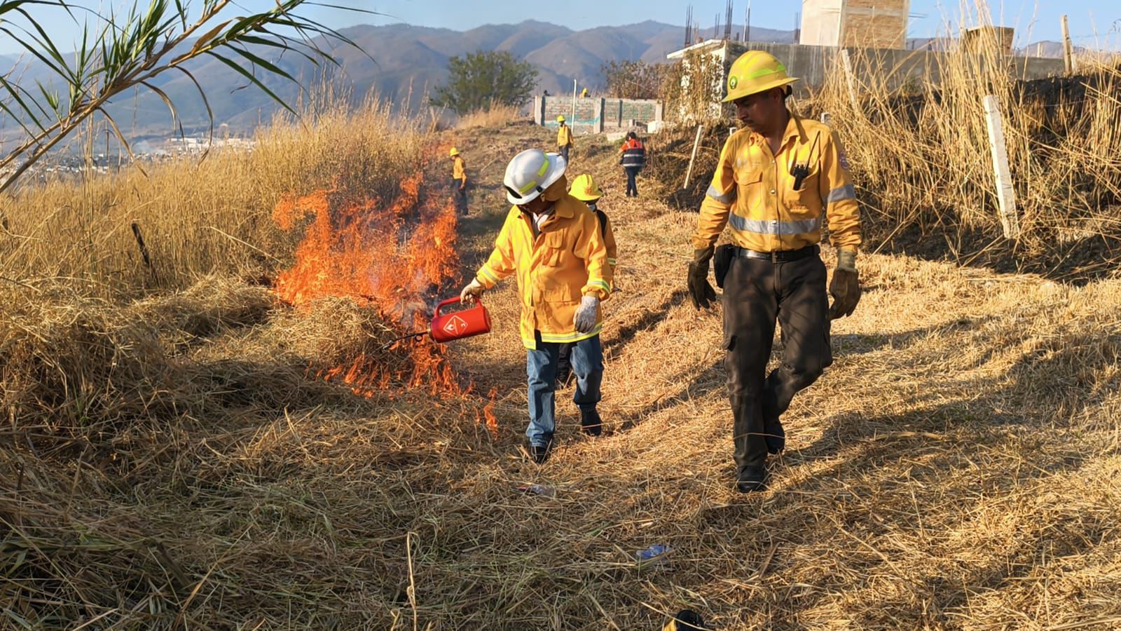 Continúa riesgo de incendios forestales