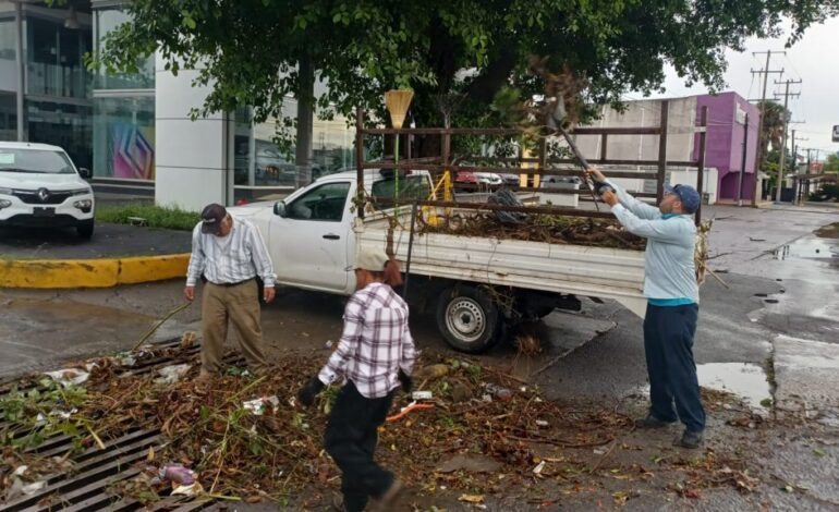 Despliegan apoyo y limpieza tras intensa lluvia