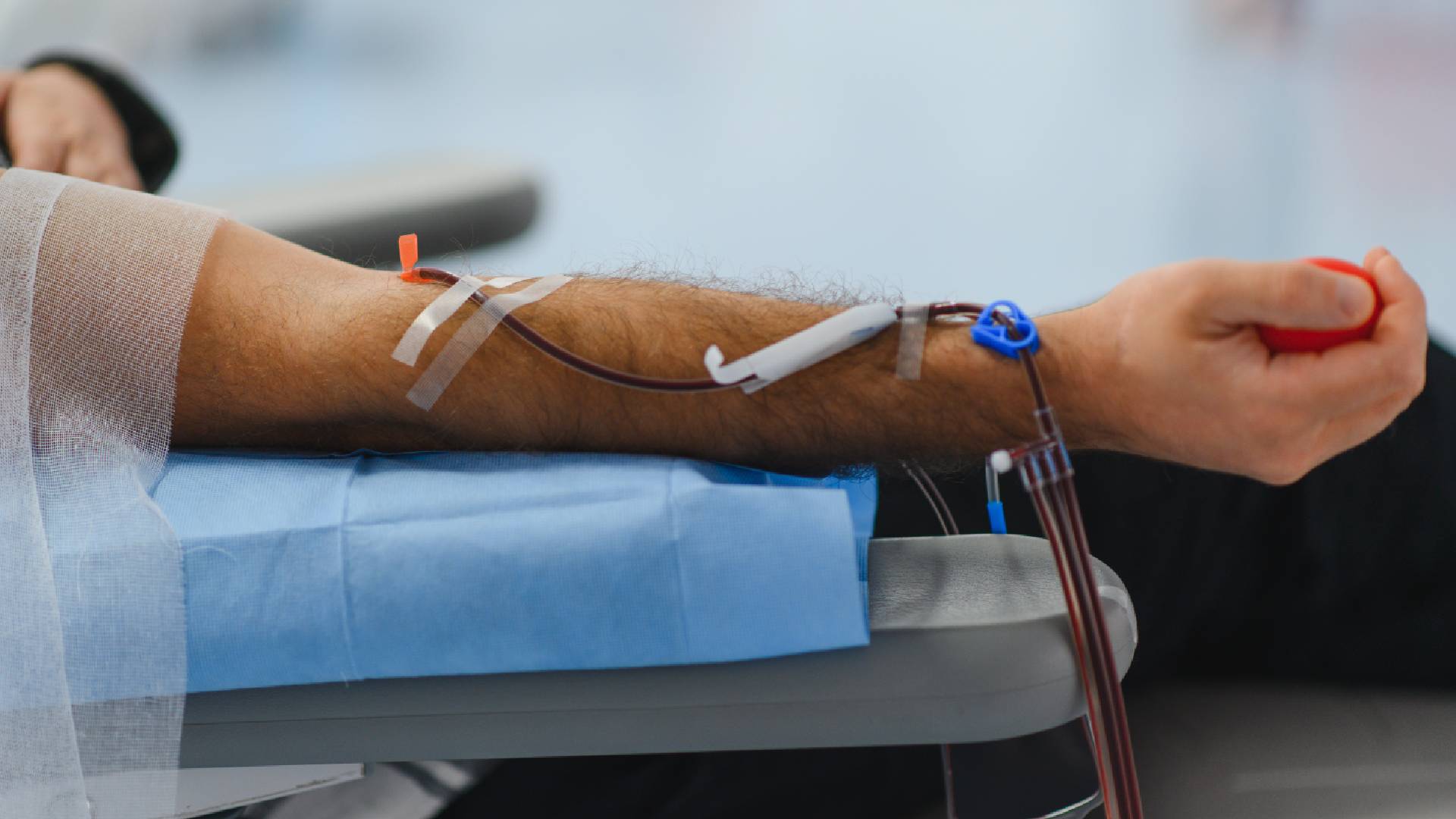 ¿Donar sangre engorda, adelgaza o provoca anemia? Mitos y realidades