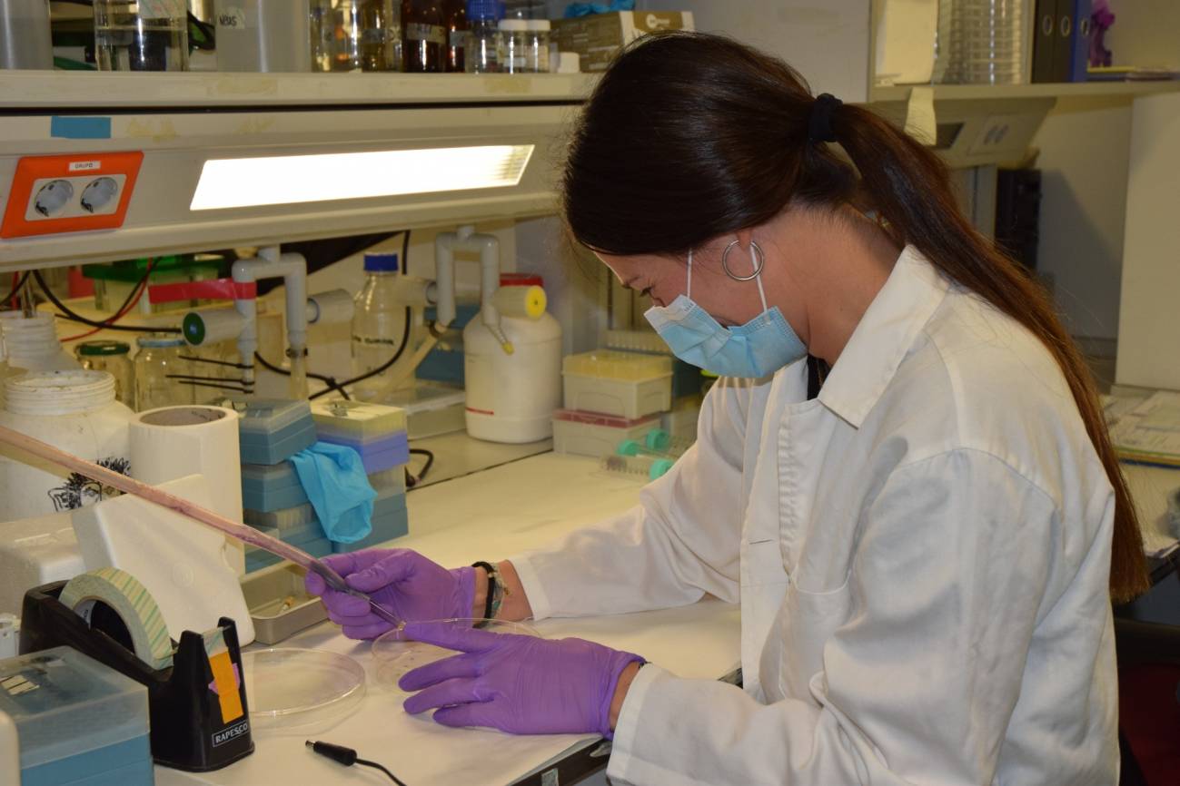 Estudiantes de la UAT desarrollan nanocompuesto para combatir células cancerosas