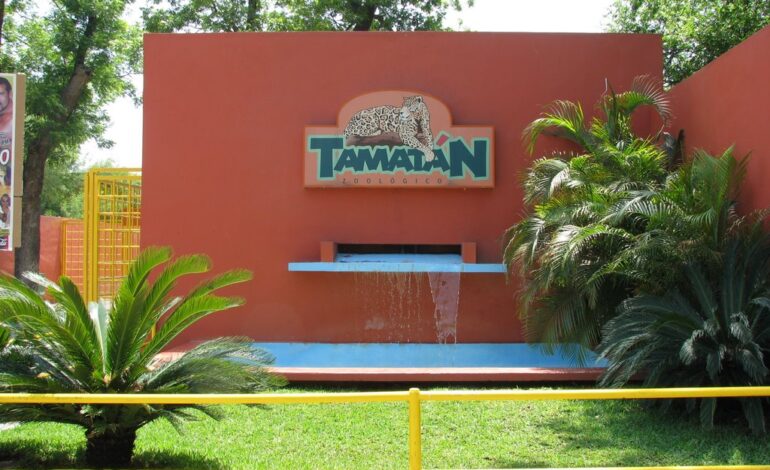 Continúan ajustes en el Zoológico de Tamatán; anticipan más cambios