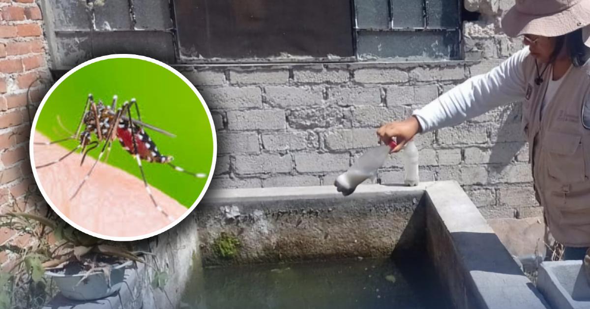 Salud refuerza acciones contra el dengue ante temporada de lluvias