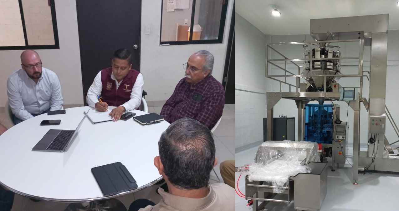 Impulsará Tamaulipas producción de harina de sorgo nixtamalizado