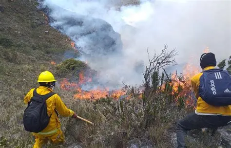 Protección Civil alerta por riesgo de incendios forestales en Tamaulipas
