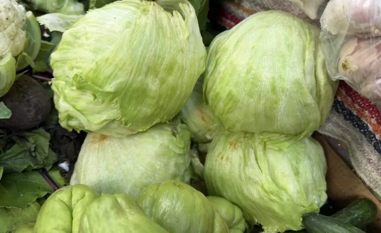 Descartan caída en la venta de lechuga en Ciudad Victoria