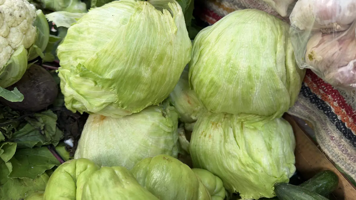 Descartan caída en la venta de lechuga en Ciudad Victoria