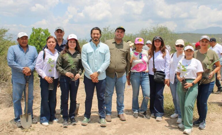 STPS se suma a la Jornada Nacional de Reforestación 2026