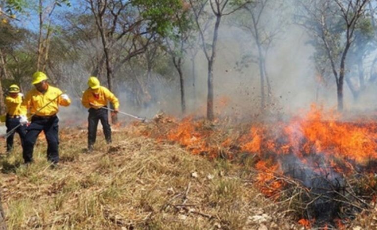 Alertan por incremento de incendios; la mayoría son provocados por actividades humanas