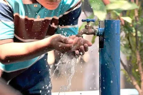 Piden cuidar el agua ante disminución en los manantiales de La Peñita
