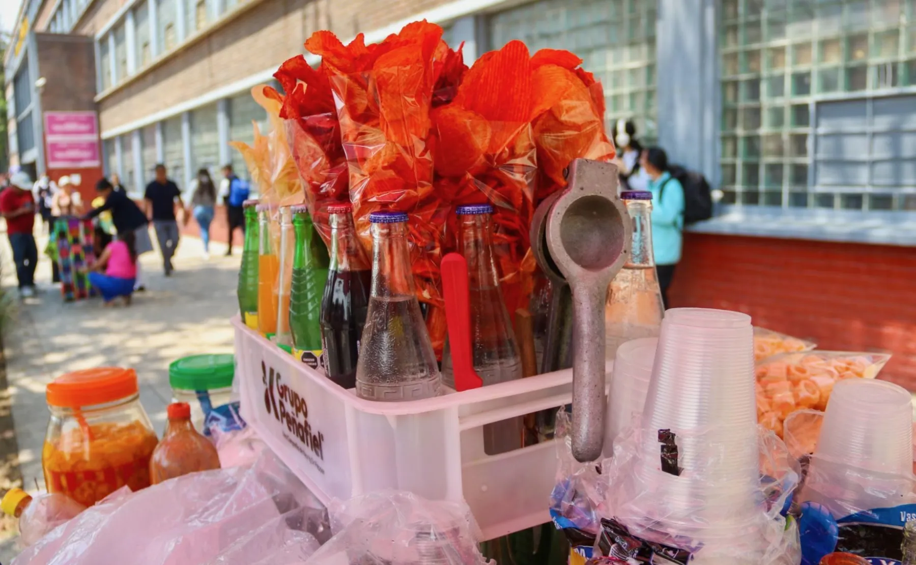 Comida chatarra seguirá fuera de las cooperativas escolares