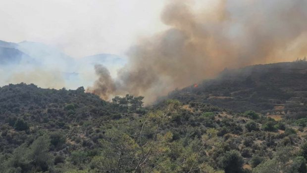 Fuego en la sierra de Nuevo León alcanza territorio tamaulipeco
