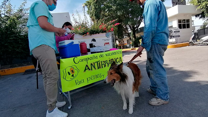 Aplican últimas dosis para concluir campaña antirrábica