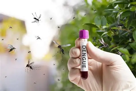 Lluvias elevan riesgo de repunte de dengue en Tamaulipas